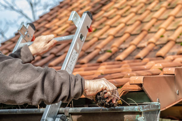 Find Professional Gutter Cleaning Near Me with Indy Gutter Cleanings PLUS LLC