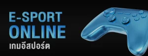 E Sports 79Z